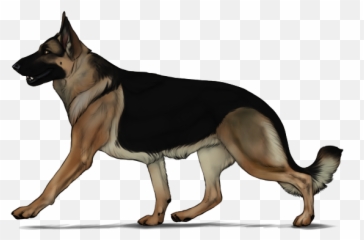German Shepherd Transparent Image - German Shepherd Art Png,German Shepherd Png