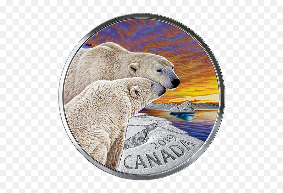1 Oz Pure Silver Coloured Coin - The Polar Bear Canadian Polar Bear On Canadian Coin Png,Polar Bear Transparent Background