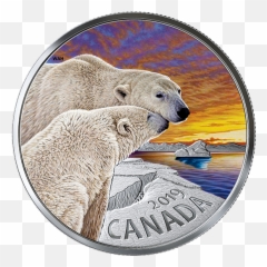 1 Oz Pure Silver Coloured Coin - The Polar Bear Canadian On png