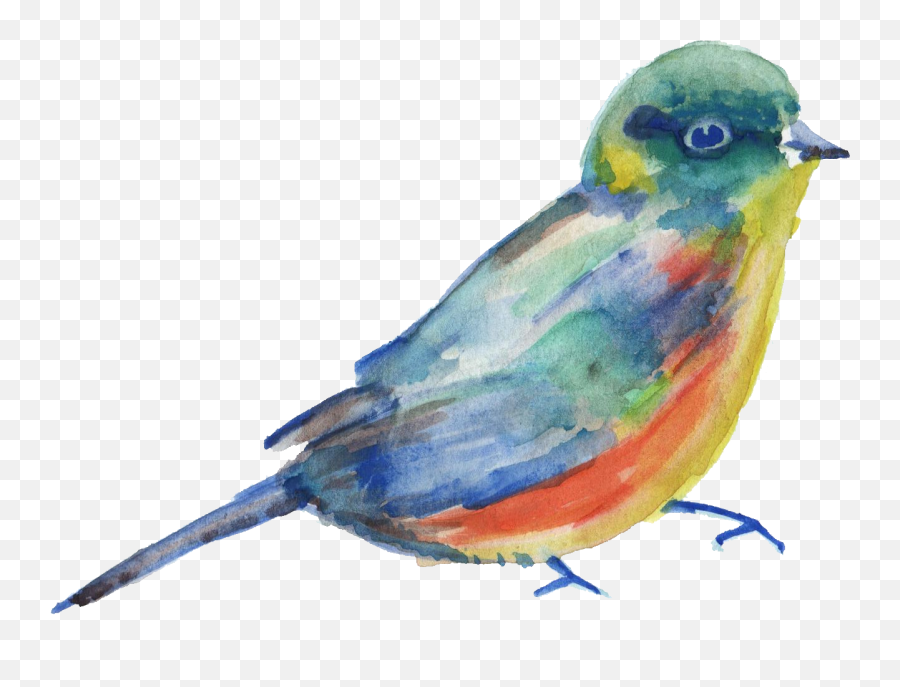 Bird Parrot Transparent Watercolor Painting - Watercolor Bird Png,Parrot Transparent