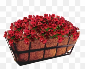 55cm Georgian Balcony Planter - Flowerpot png