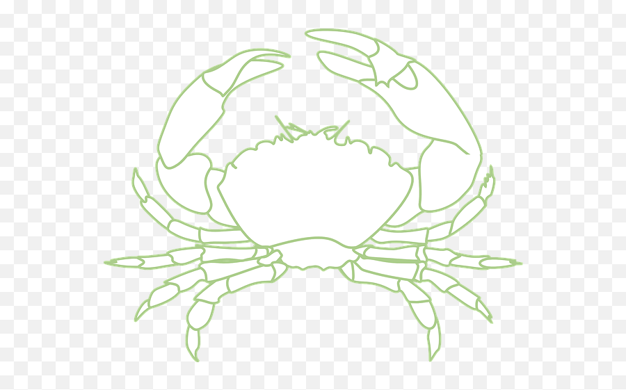 Free Image - Crab Crustacean Sea Life Lobster Yellow Crab Clipart Png,Crab Clipart Png