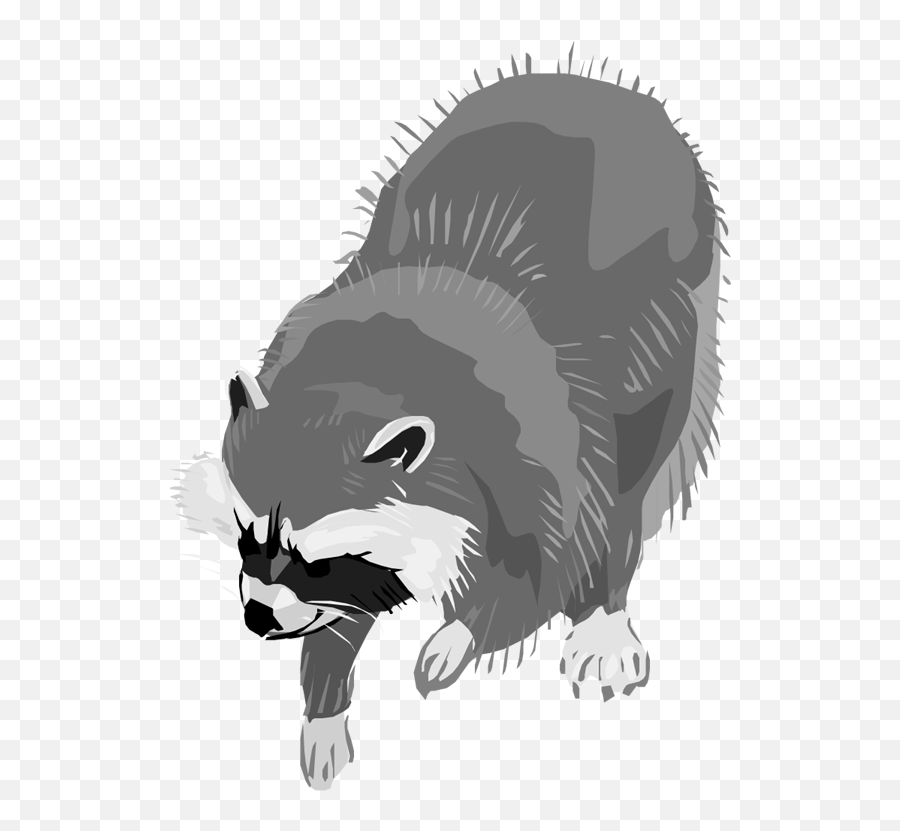 Free Raccoon Clipart 8 - Racoon Clipart Transparent Background Png,Raccoon Transparent Background