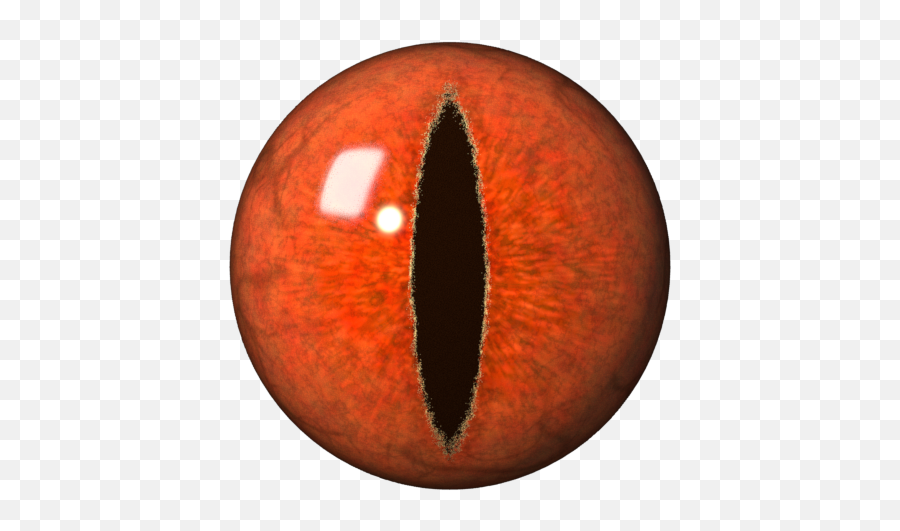 Download Pooper Eye - Dragon Eye Png Png Image With No Portable Network Graphics,Eye Png