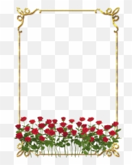 Download Hd Frames Png Douradas Com Rosa Vermelhas - Rose Flowers Png,Rose Border Png