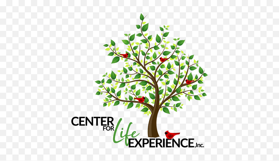 Home Center For Life Experience Inc Hays Kansas Grief - Woodlands Primary School Redbridge Png,Any Questions Png