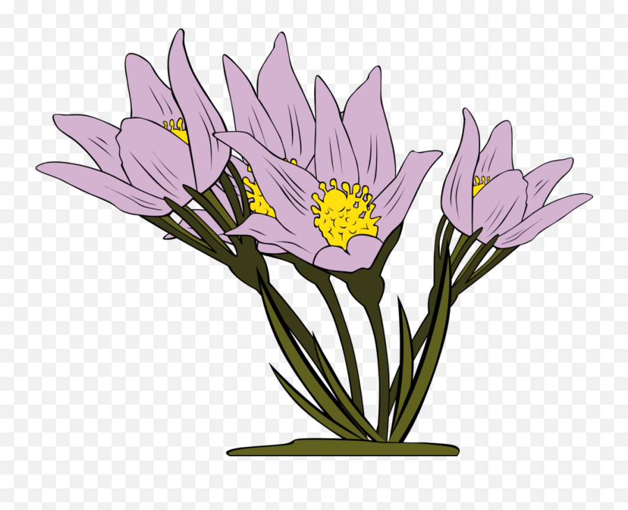 Iris Familyplantflower Png Clipart - Royalty Free Svg Png Animated Flowers,Iris Flower Png