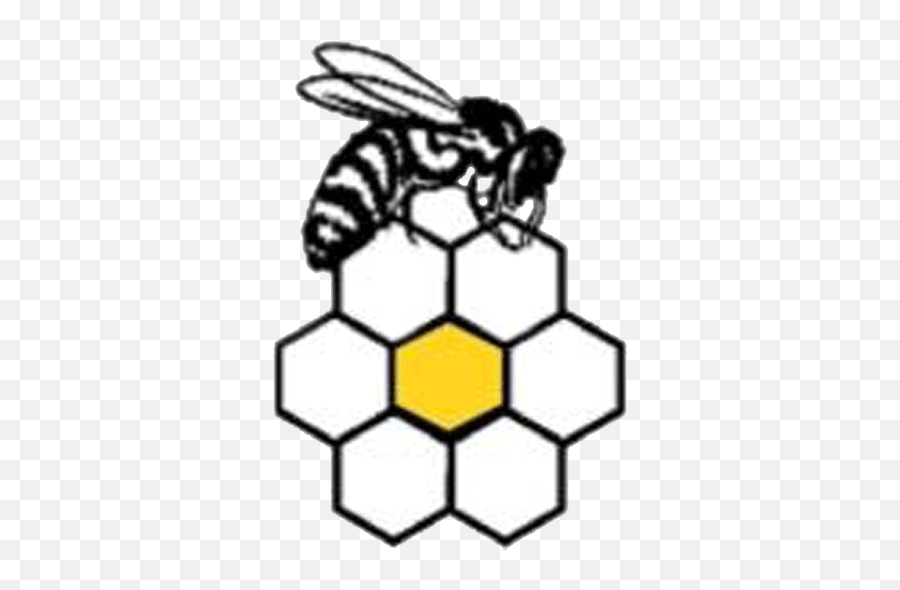 Home Page - Bax Bees Bax Bees Png,Bumblebee Icon