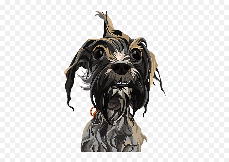 I Shih Tzu - Vulnerable Native Breeds Png,Shih Tzu Icon