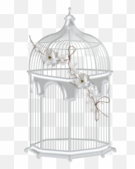 Download Bird Cage Transparent White Png Image With No - Png