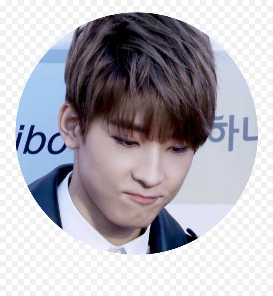 Wonwoo Icons Sticker By Siw - Boy Png,Siw Icon