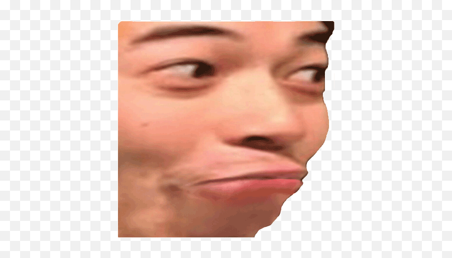 Catjam Twitch Emote Meaning U0026 Origin - Streamerfacts Emote Pausechamp Png,Twitch Icon Gif