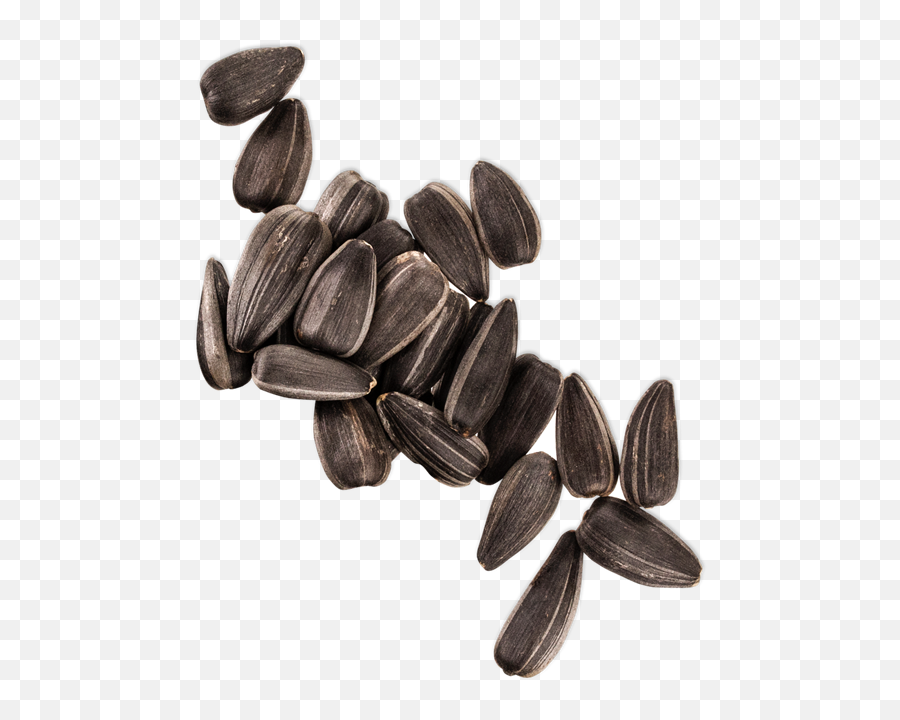 Peanut Butter Lovah - Blender Bombs Superfood Png,Pile Cacao Bean Icon