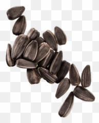 Peanut Butter Lovah - Blender Bombs Superfood png
