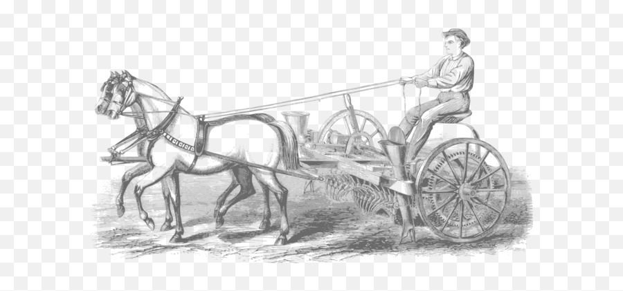 Horse And Buggy Photo Background Transparent Png Images - Horse Pic Old Style,Horse And Buggy Icon