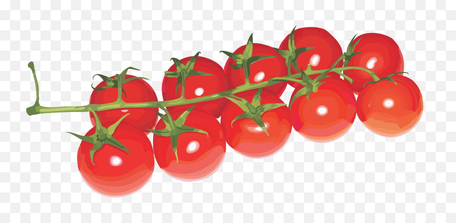 Banner Freeuse Download Cherry Tomato Clipart - Cherry Cherry Tomato Transparent Background Png,Tomato Clipart Png