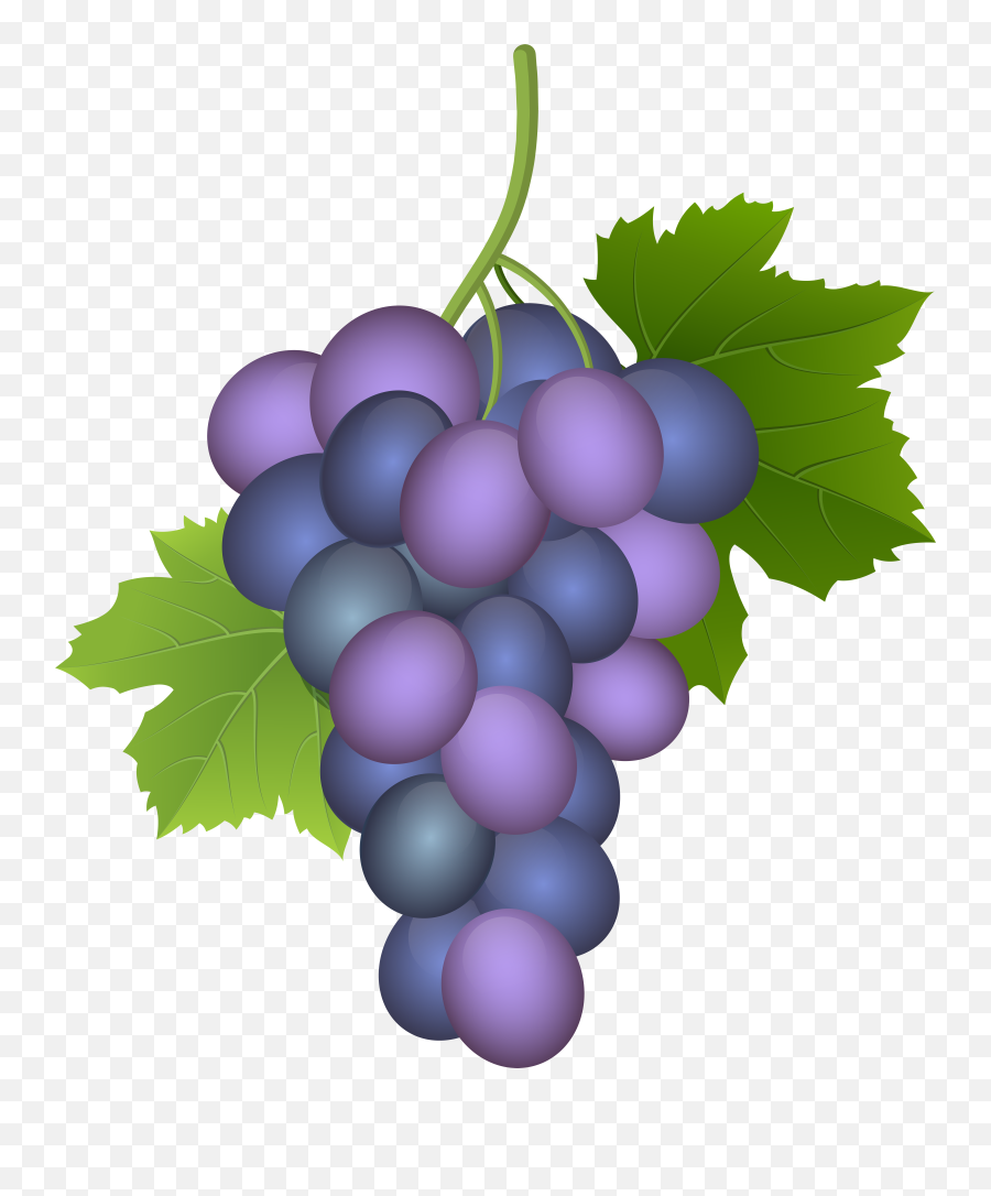 Purple Grapes Png Free