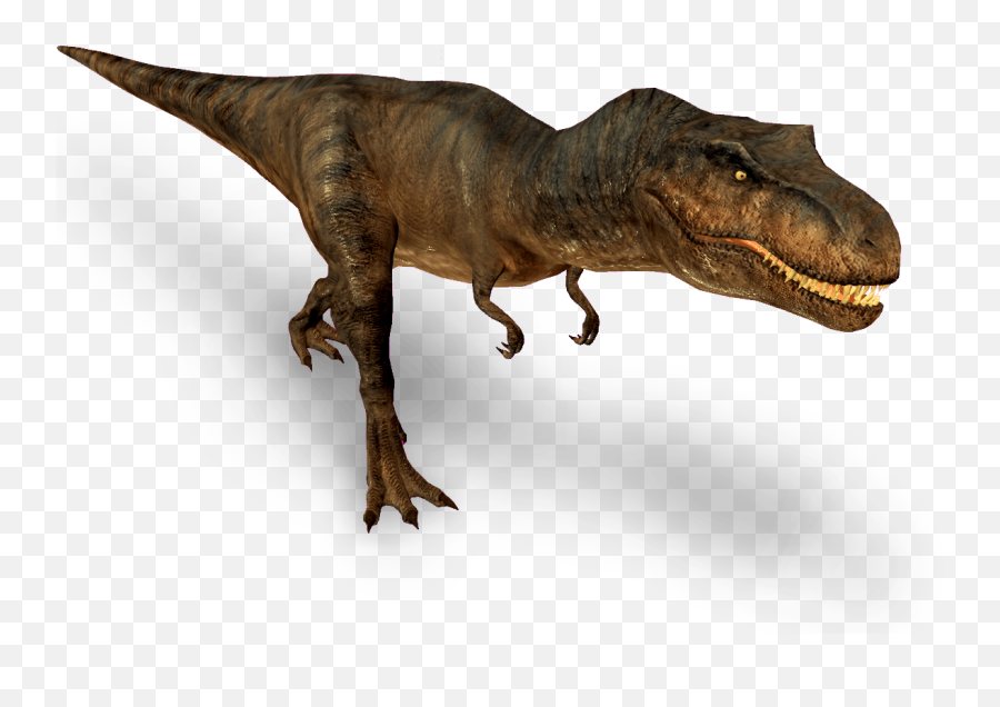 T Rex Top View Transparent Png - T Rex Gif Png,Tyrannosaurus Rex Png