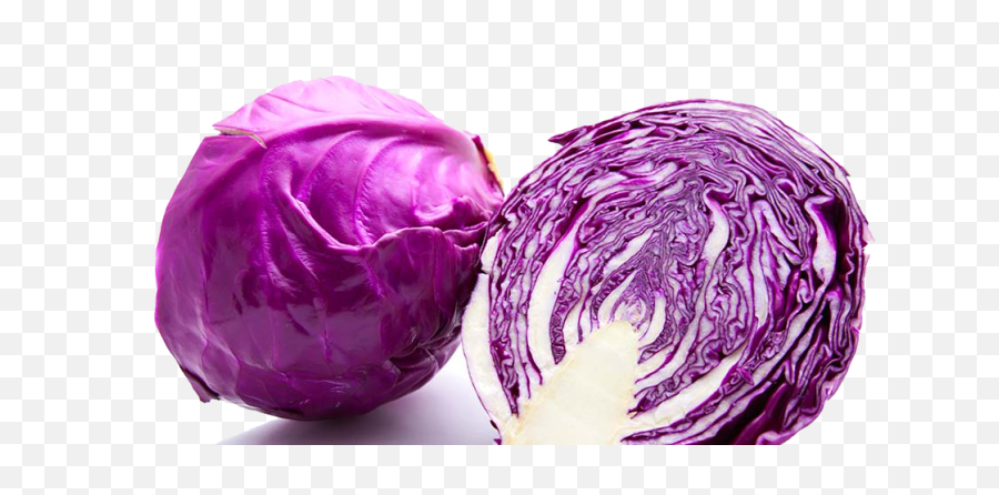 Download Purple Cabbage Png Image - Different Type Of Cabbage Name,Cabbage Png