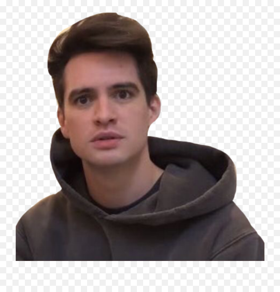 Beebourie Sticker Brendon Urie Is Hot - Brendon Urie Sticker Png,Brendon Urie Png