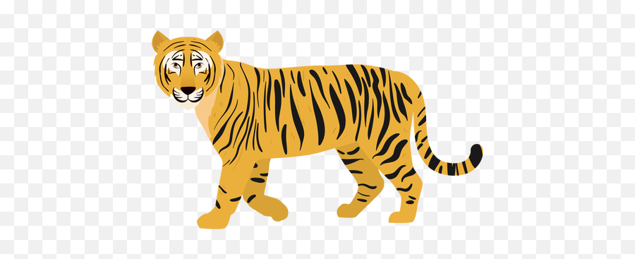 Tiger Illustration Cat - Transparent Png U0026 Svg Vector File Transparent Tiger Walking Gif,Tiger Logo Png