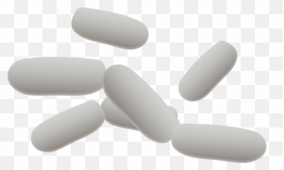 Bacteria Photo Background Transparent Png Images And Svg - Bacilli Bacteria Clip Art,Bacteria Transparent Background