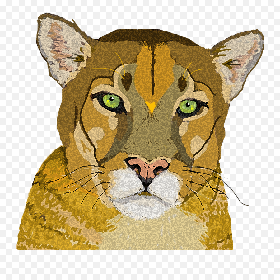 Download Mountain Lion 3 Copy - Lion Png,Cougar Png