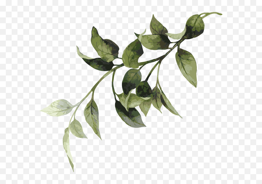 War Book - Twig Png,Shrubbery Png