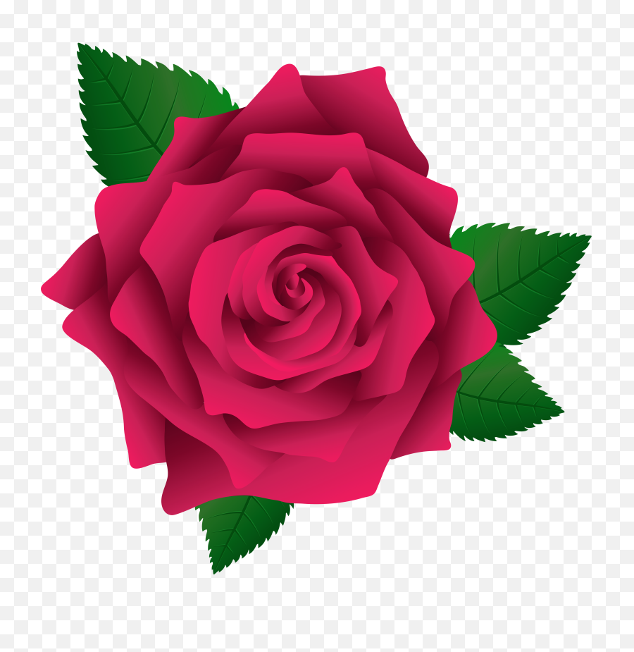 Rosana Ramirez - Red Rose Png Clipart,Pink Roses Png