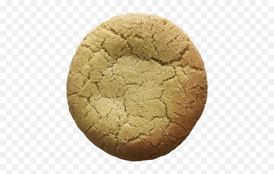 Sugar Cookies - Ginger Nut Png,Sugar Cookie Png