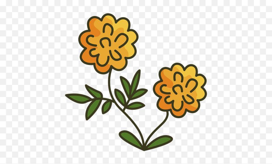 Mexican Marigold Colorful Icon Stroke - Clip Art Png,Marigold Png