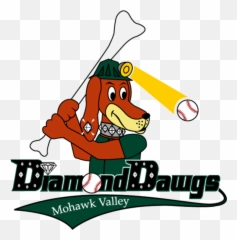 Download The Mohawk Valley Diamond Dawgs - Winter Park Winter Park Diamond Dawgs Png,Mohawk Png