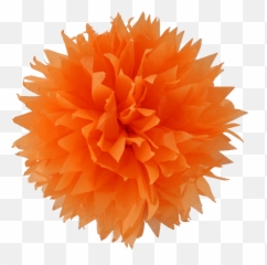 Download Orange Pom Png Image - Orange Pom Pom Png,Pom Pom Png