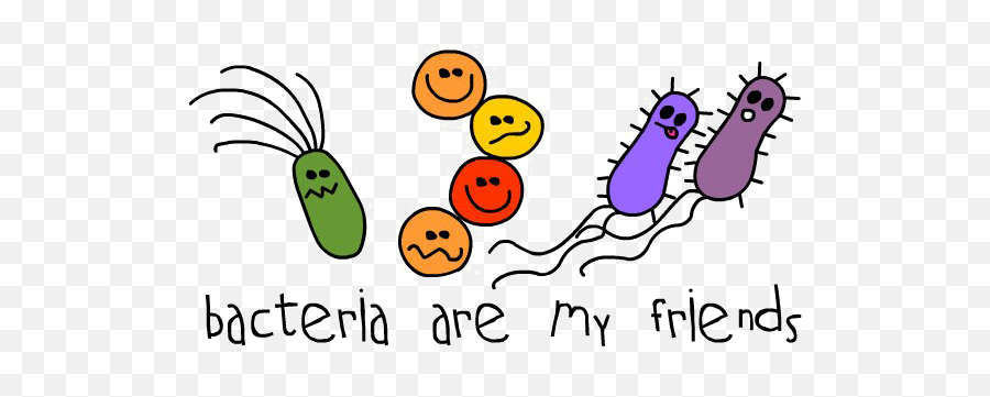 Download Bacteria Png Photo - Bacteria Birthday Cards Png Friends Bacteria,Bacteria Png