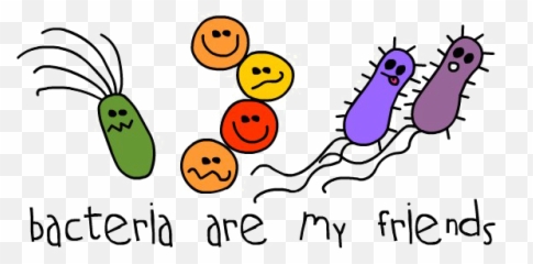 Download Bacteria Png Photo - Birthday Cards PNG Friends