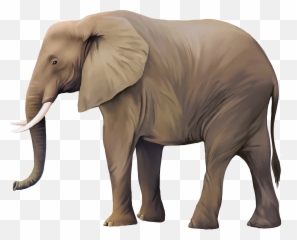 Free Transparent Animal Png Download - Illustrator Vector