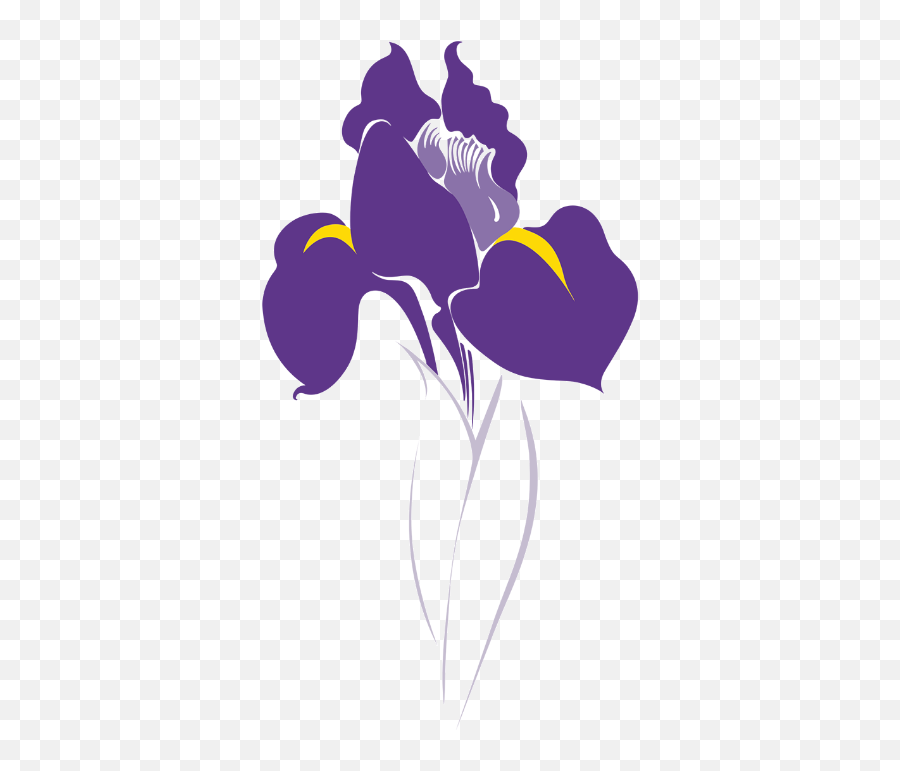 Icon Illustration Development U2014 Shuo Meng - Lovely Png,Iris Flower Png