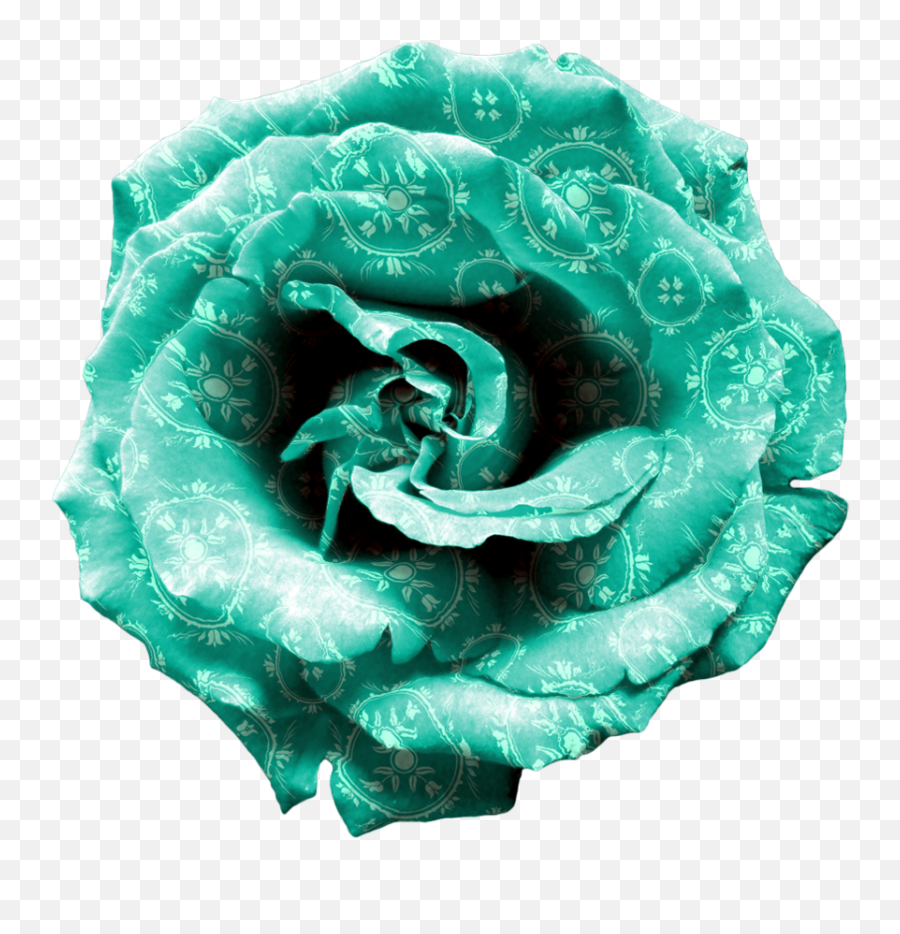 Turquoise Png Images In Collection - Turquoise Rose Png,Turquoise Png