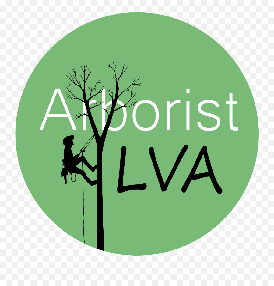 Created A Logotype For My Sou0027s Arborist Business Her Name - Alcorta Shopping Png,Alter Bridge Logo