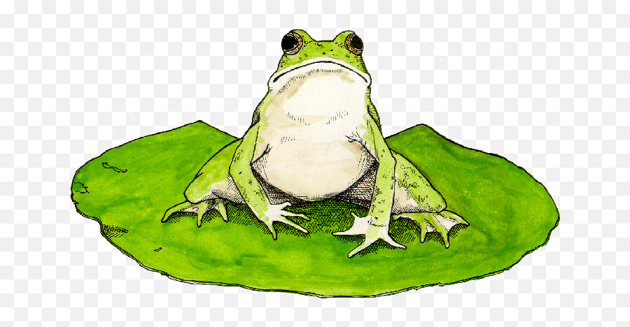 Lily Pad Clipart - Frog On Lily Pad Png,Lily Pad Png