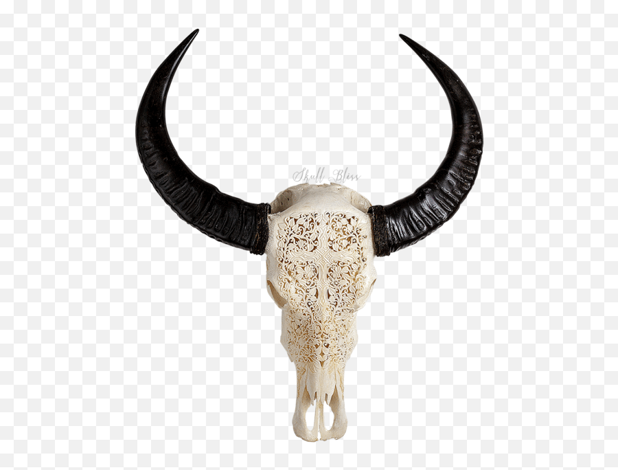 Carved Buffalo Skull - Gothic Cross Buffalo Skull Skullbliss Sculptures Hand Carved Buffalo Transparent Png,Gothic Cross Png