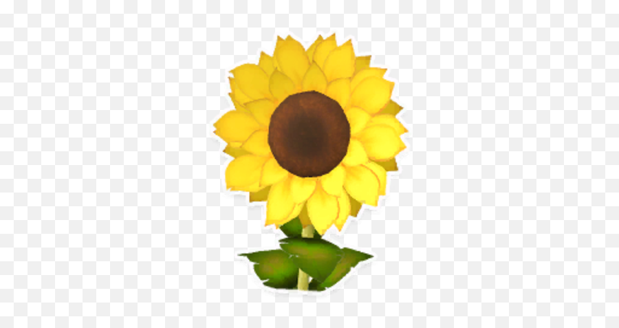 Sunflower Garden Paws Wiki Fandom - Sunflower Png,Garden Png
