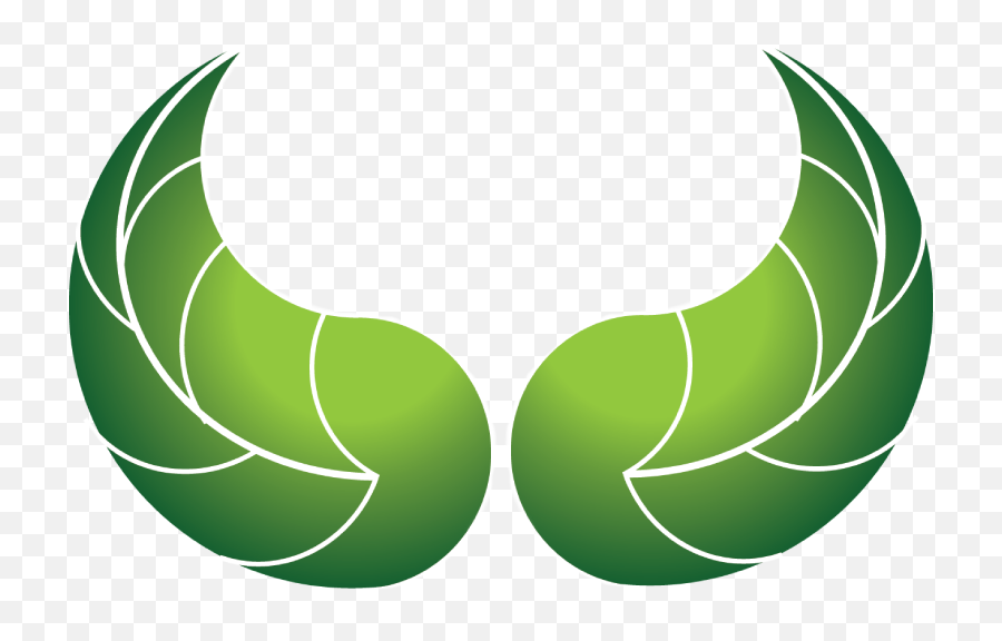 Leaves - Green Leaf Wings Logo Png,Leaf Logos