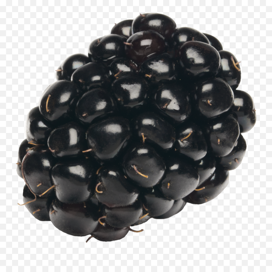 Blackberries - Full Of Vitamin C Antioxidants And Flavor Fresh Png,Blackberry Icon Pack