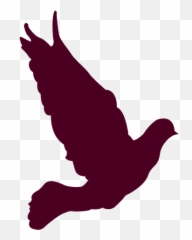 Transparent Png Svg Vector File - Columbidae,Dove Transparent