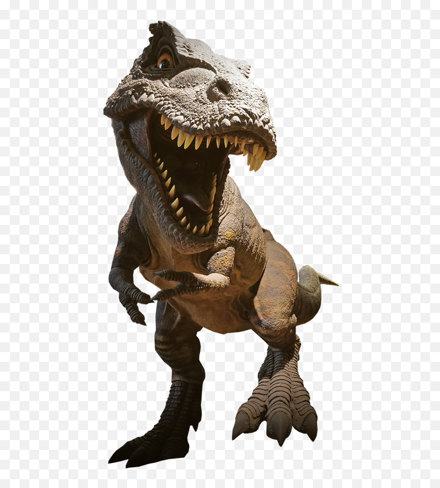 Download T - T Rex Png,Tyrannosaurus Rex Png