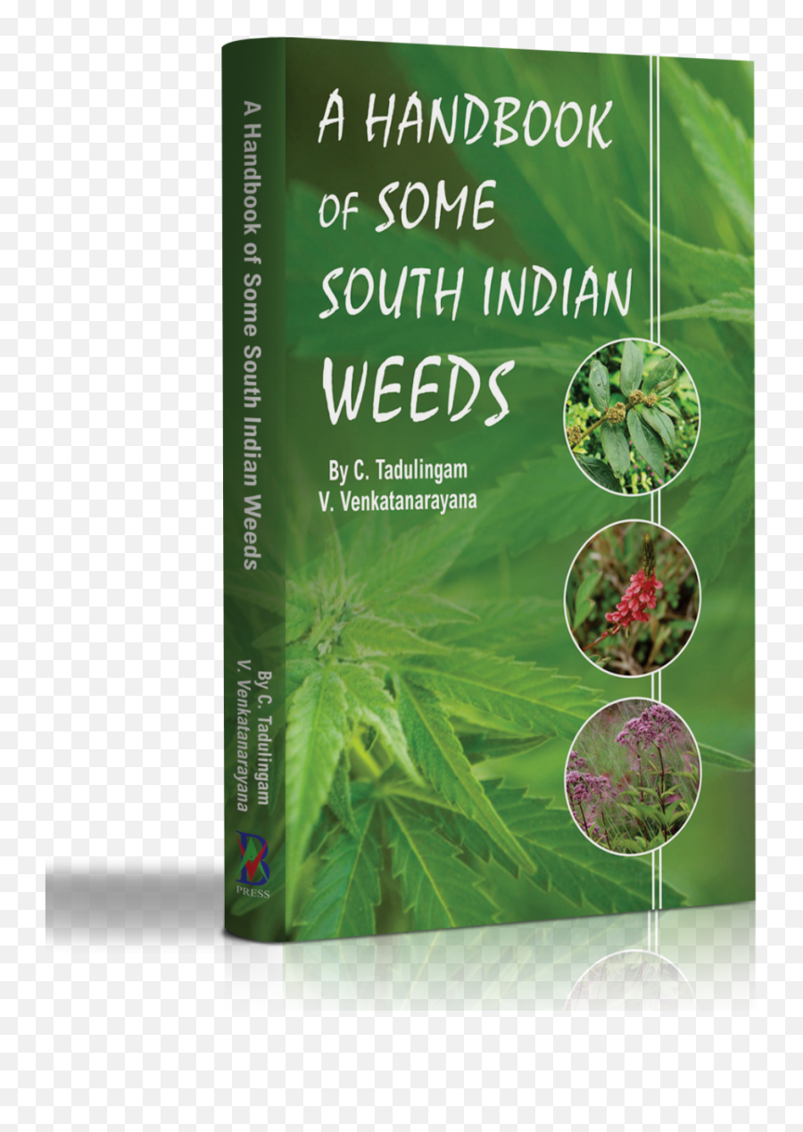 A Handbook Of Some South Indian Weeds - Herbal Png,Weeds Png