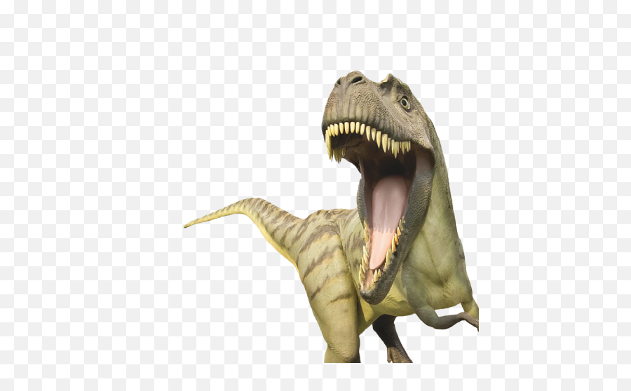 Dinosaur Png Icon - Tyrannosaurus,Dinosaur Transparent Background