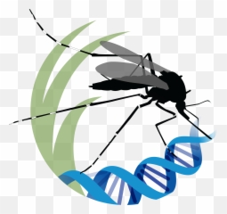 Nerrs Science Collaborative Program - Illustration Png,Dna Logo