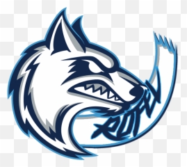 Brawlhalla Player Stats - Cool Mascot Logos Png,Brawlhalla Logo